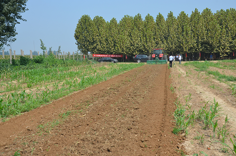 New Design Agriculture Farming Rotary Tiller for Ploughing